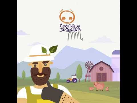 Descubriendo el Sabor Único del Cochinillo Segoviano