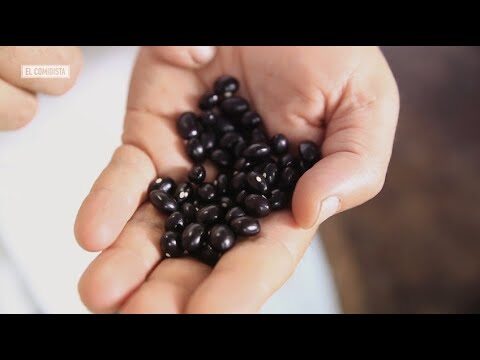 Recetas Vasca de Alubias de Tolosa Caseras