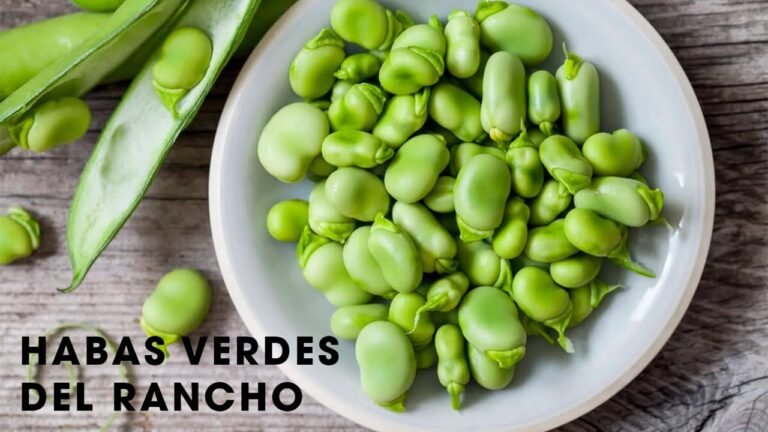 Sabores Aut&eacute;nticos: Ingredientes Locales en Recetas Rurales