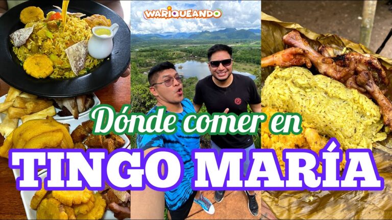 Delicias de Antojitos Regionales Sorianos