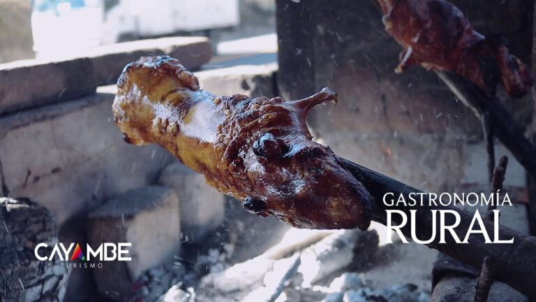 Delicias Rurales: Platillos T&iacute;picos de la Gastronom&iacute;a Tradicional