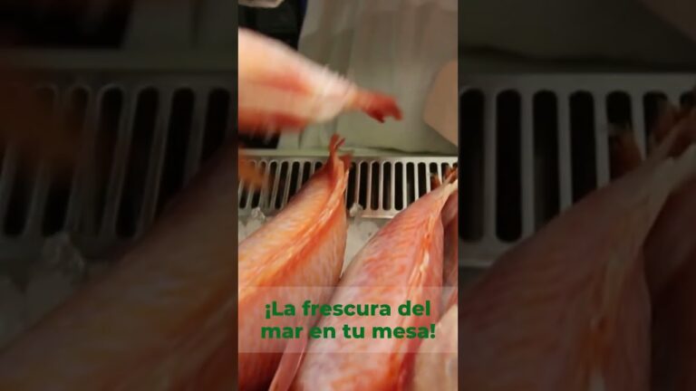 Del&eacute;itate con la Frescura del Sushi de Mariscos