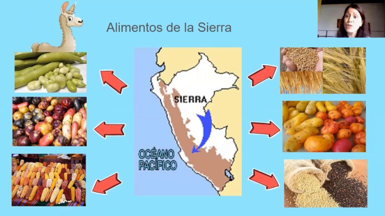 Ingredientes Aut&oacute;ctonos en Recetas Regionales: Un Viaje Gastron&oacute;mico