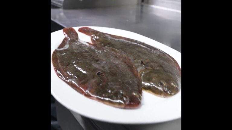 Sabor del Mar: La Experiencia Culinaria de la Sopa de Mariscos de Galicia