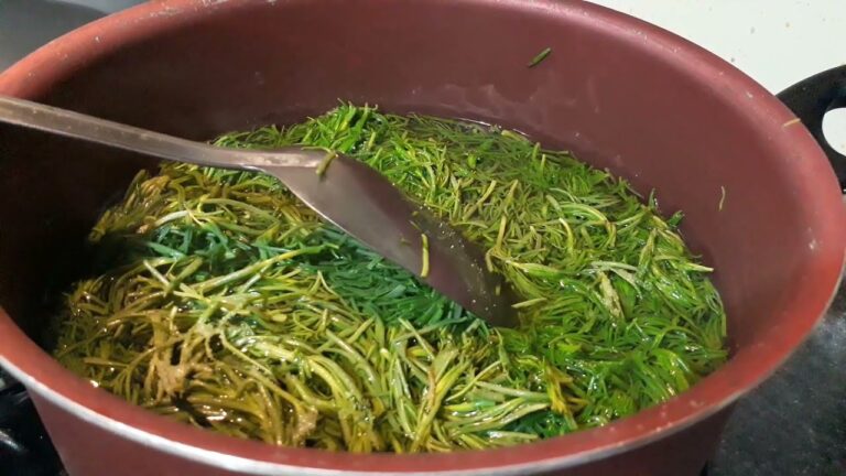 Delicias de Romeritos en Mole: Un Platillo Tradicional Mexicano