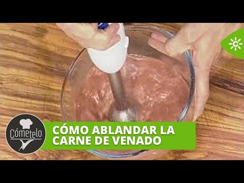 Delicias de Caza: Platos de Faisán con Champiñones