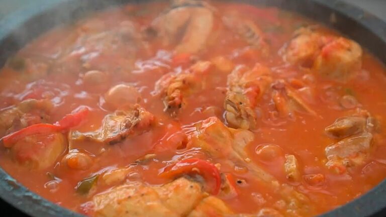 Delicias Aragonesas: Platos Tradicionales con Pollo y Tomate