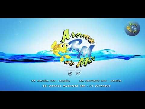 Aromas de Mar: Recetas Irresistibles de Guisos