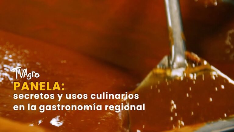 Descubriendo la Cocina Regional y sus Secretos Culinarios