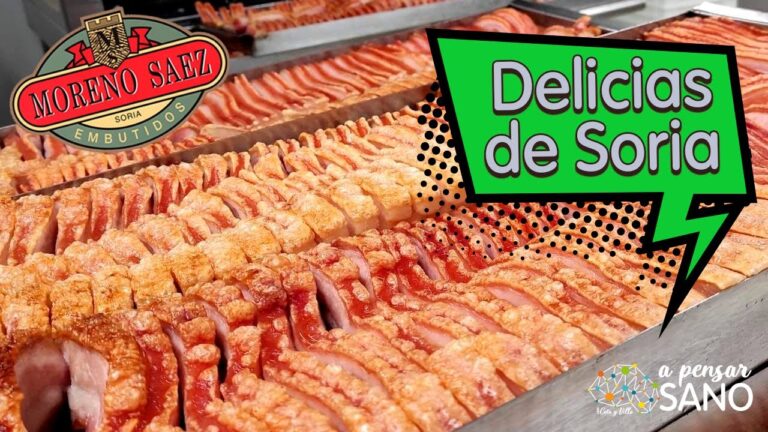 Sabores de Soria: Recetas Aut&eacute;nticas de Carnes Asadas