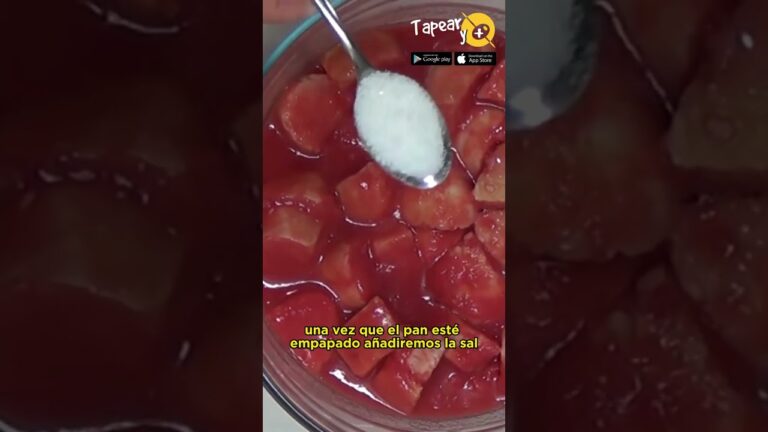 Explorando la Experiencia Culinaria del Salmorejo Cordob&eacute;s