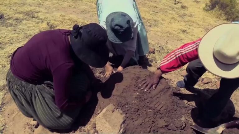 Gastronom&iacute;a de Ra&iacute;ces: Sabores Aut&eacute;nticos de los Pueblos Rurales