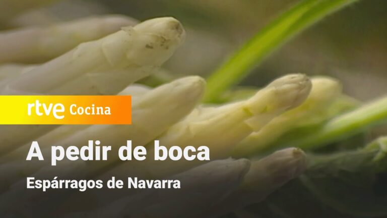 Cocina Navarra: Delicias con Esp&aacute;rragos de Calidad